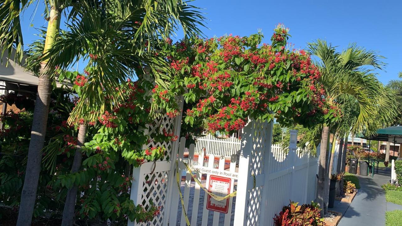 فورت لودرديل Bali Hai Motel المظهر الخارجي الصورة